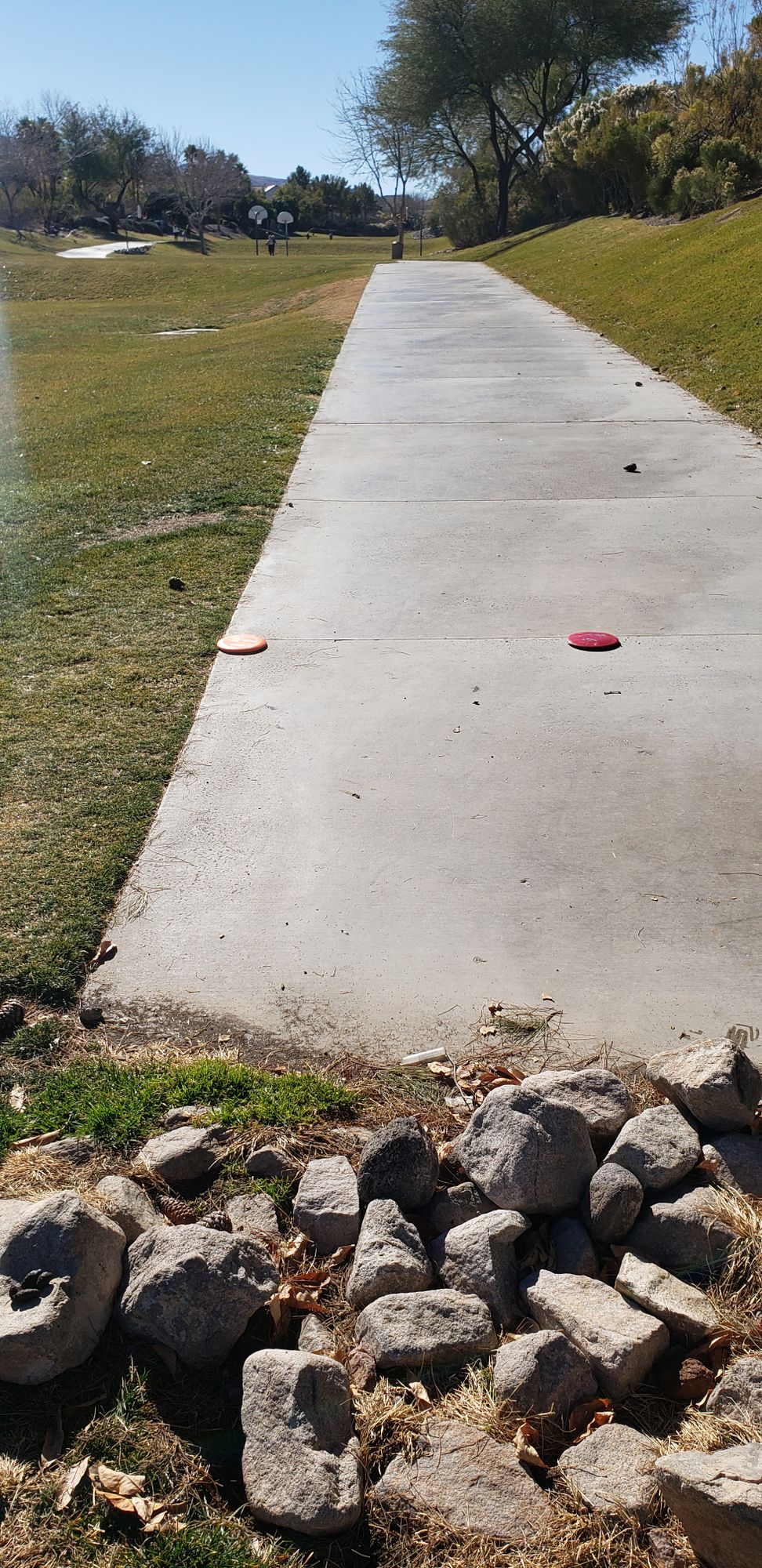 Hole 12 shooting to basket 7