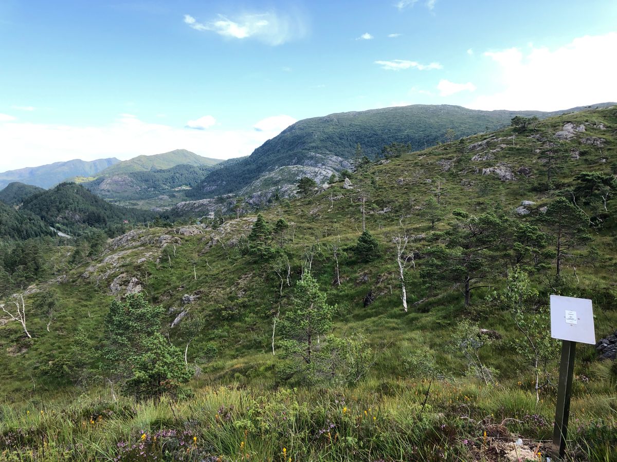 View from tee 8