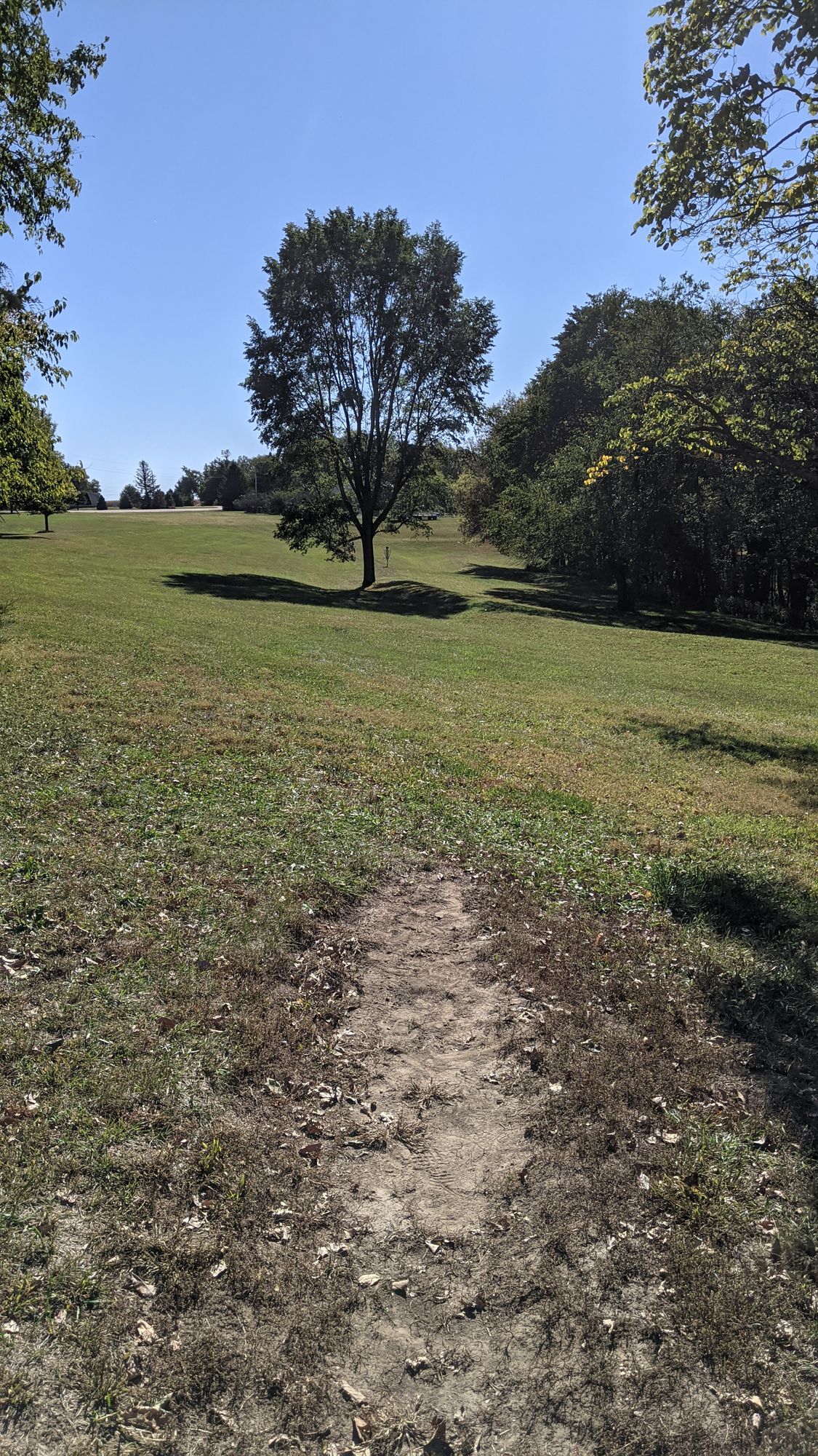 #1 Hole.  Basket just beyond tree in fairway.