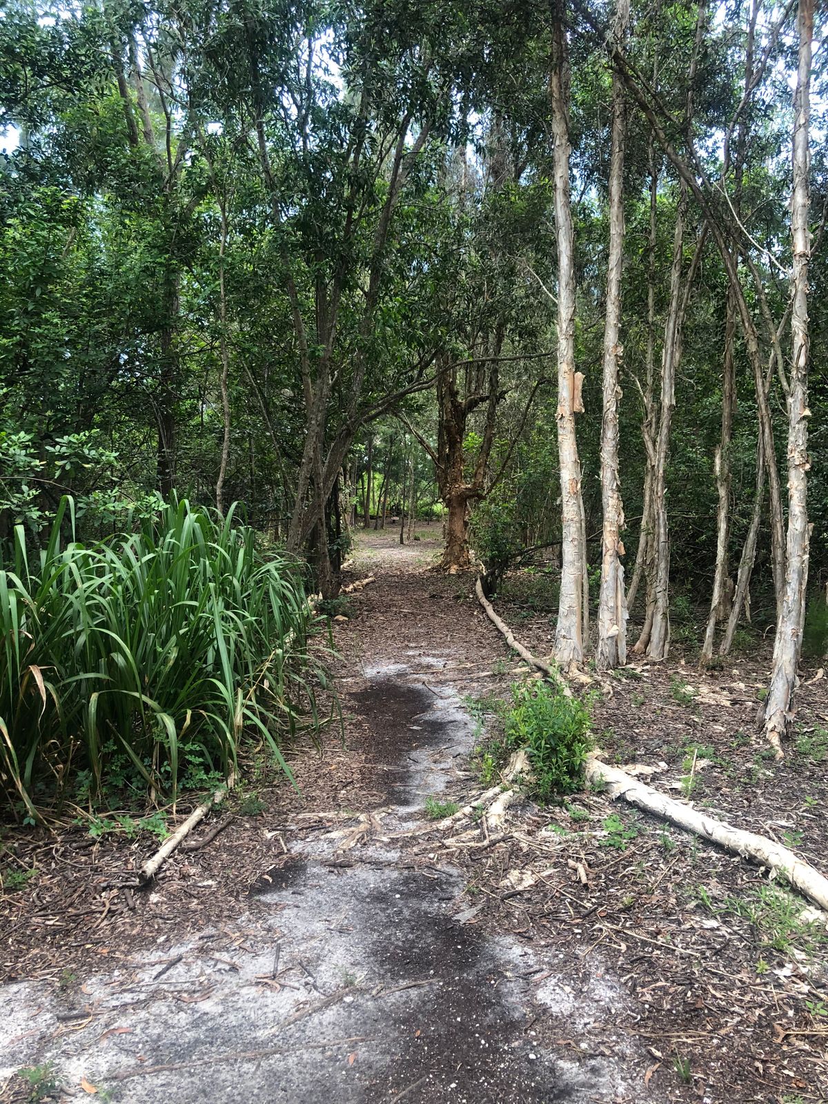 Hole 3