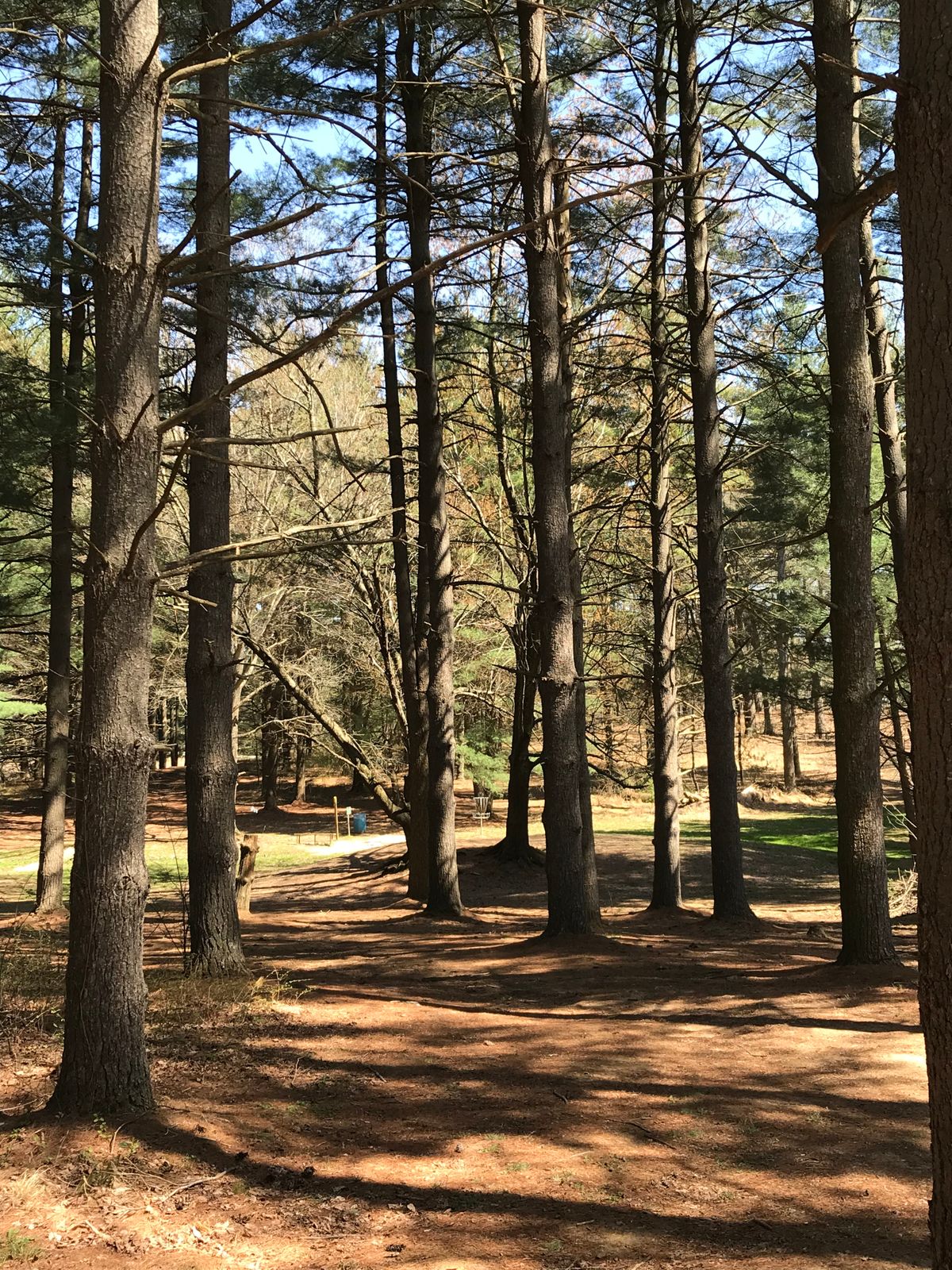 Hole 4