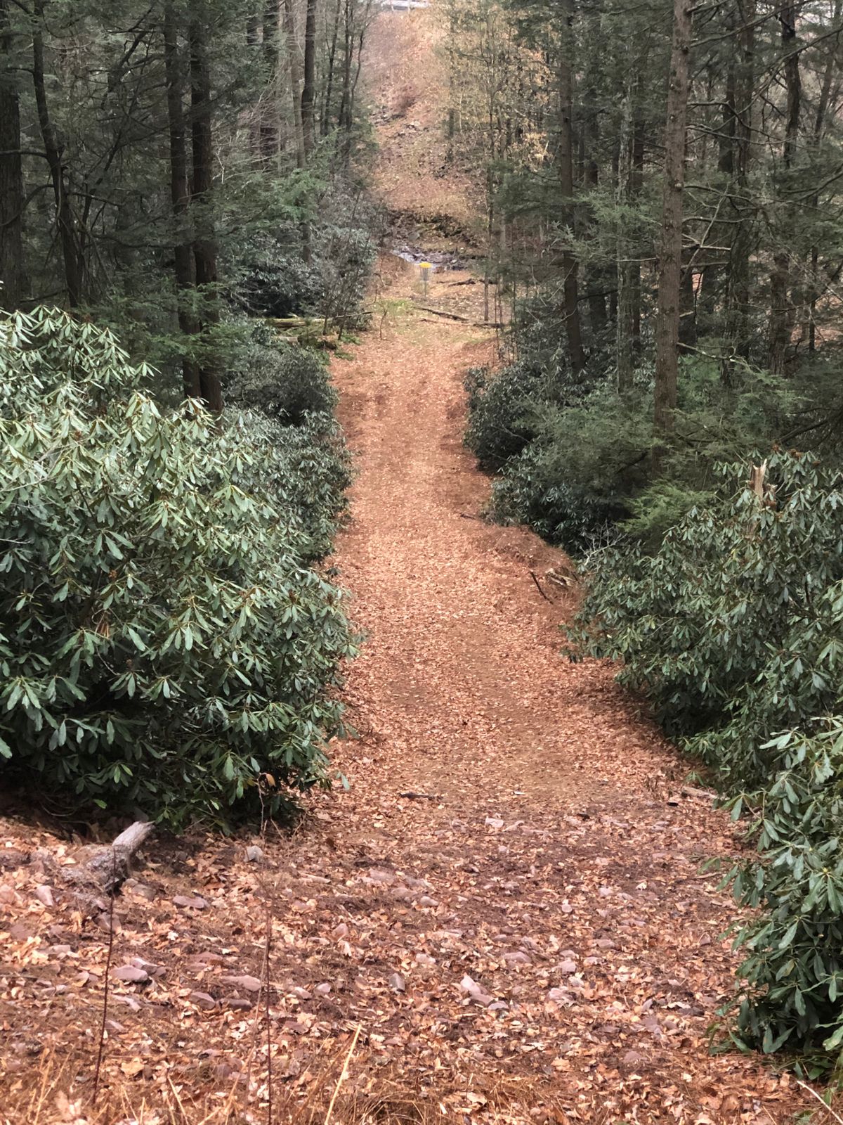 Hole 6 fairway