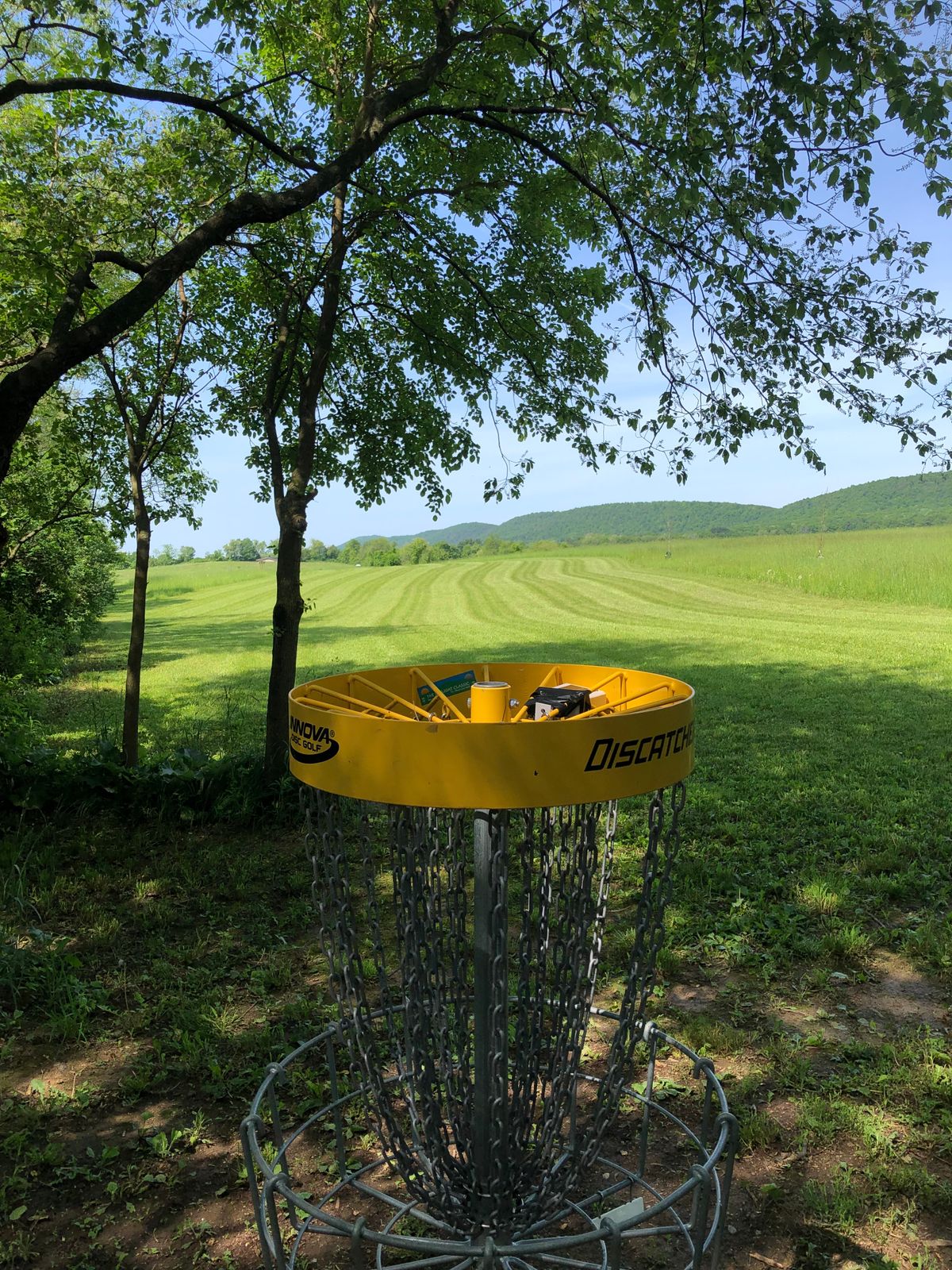 Hole 16 looking back up fairway
