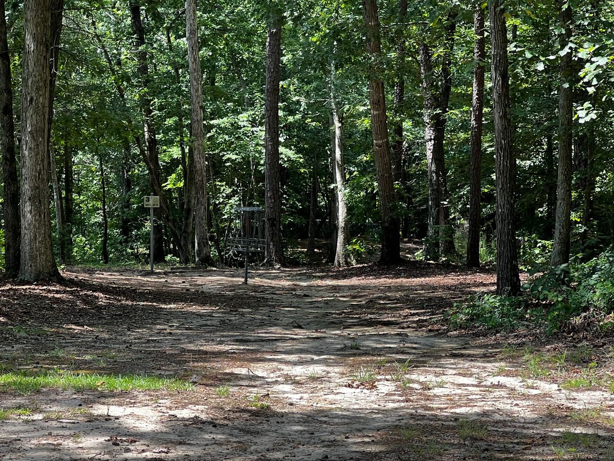 Hole 2 basket