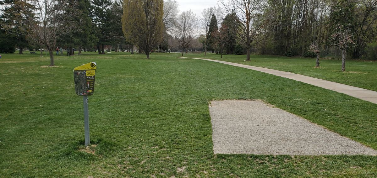 Hole 15 Tee pad