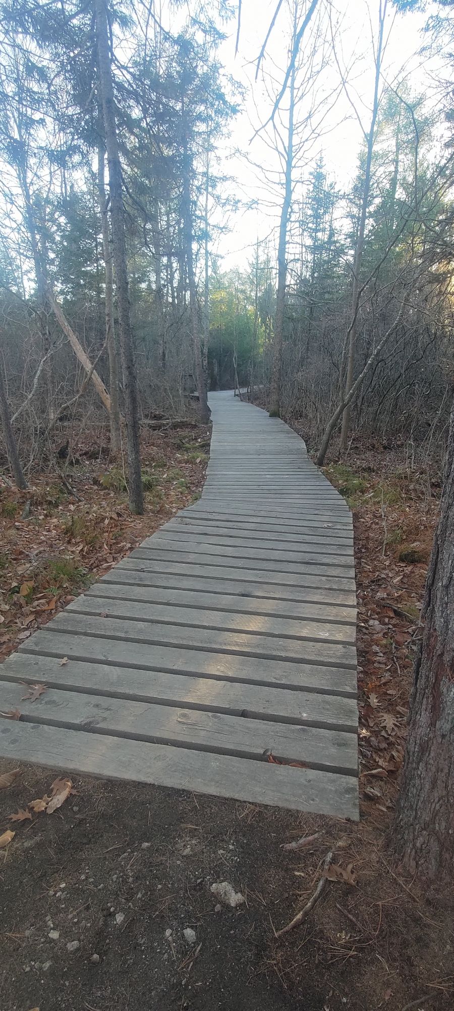 Great path connecting holes 3 and 5