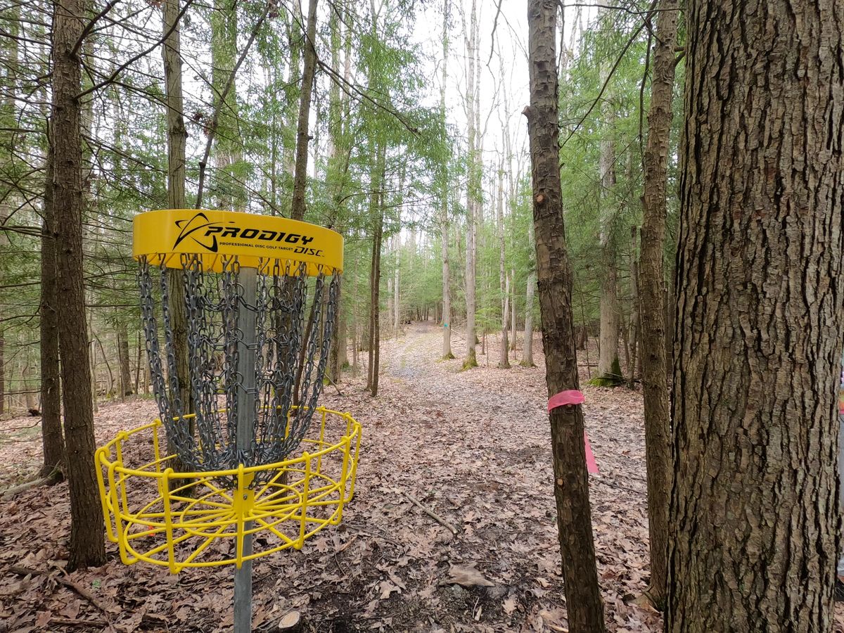 Hole #9 Basket