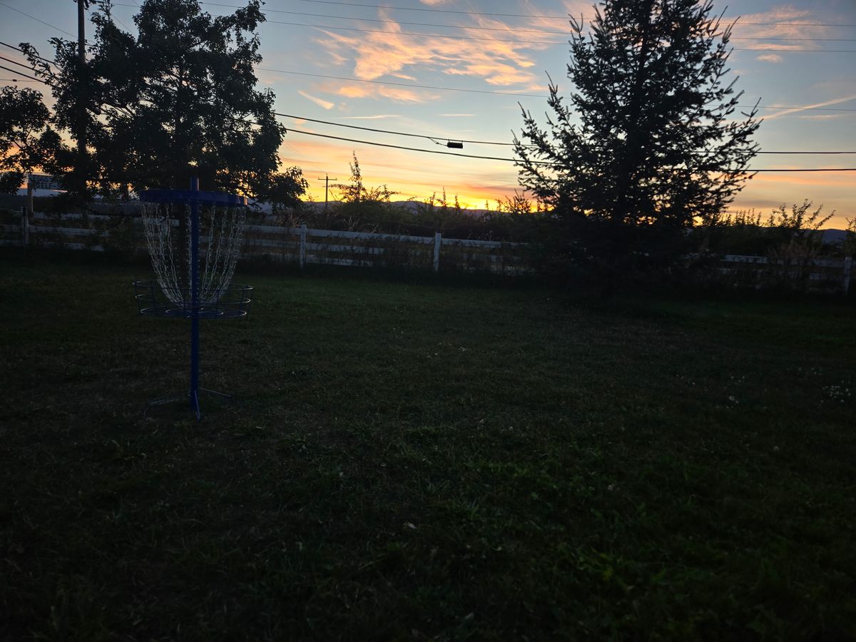 Basket 1/3/9
