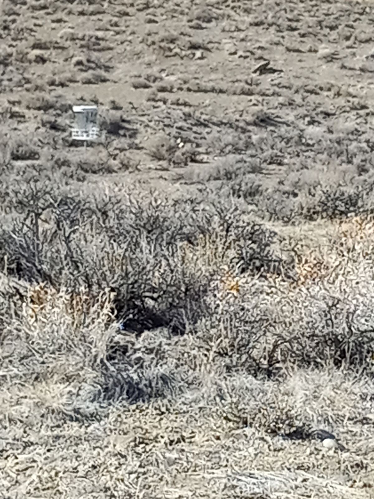 Hole 3: The picture is taken from the tee looking down toward the basket.