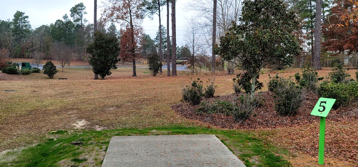 Hole 5