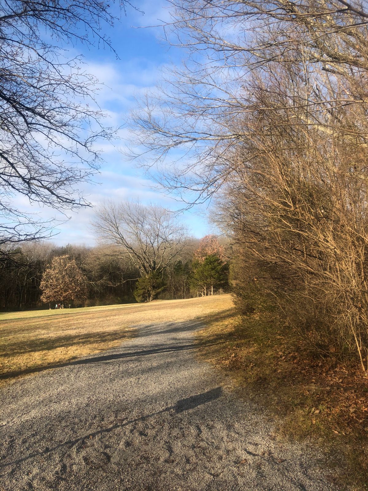 Hole 3