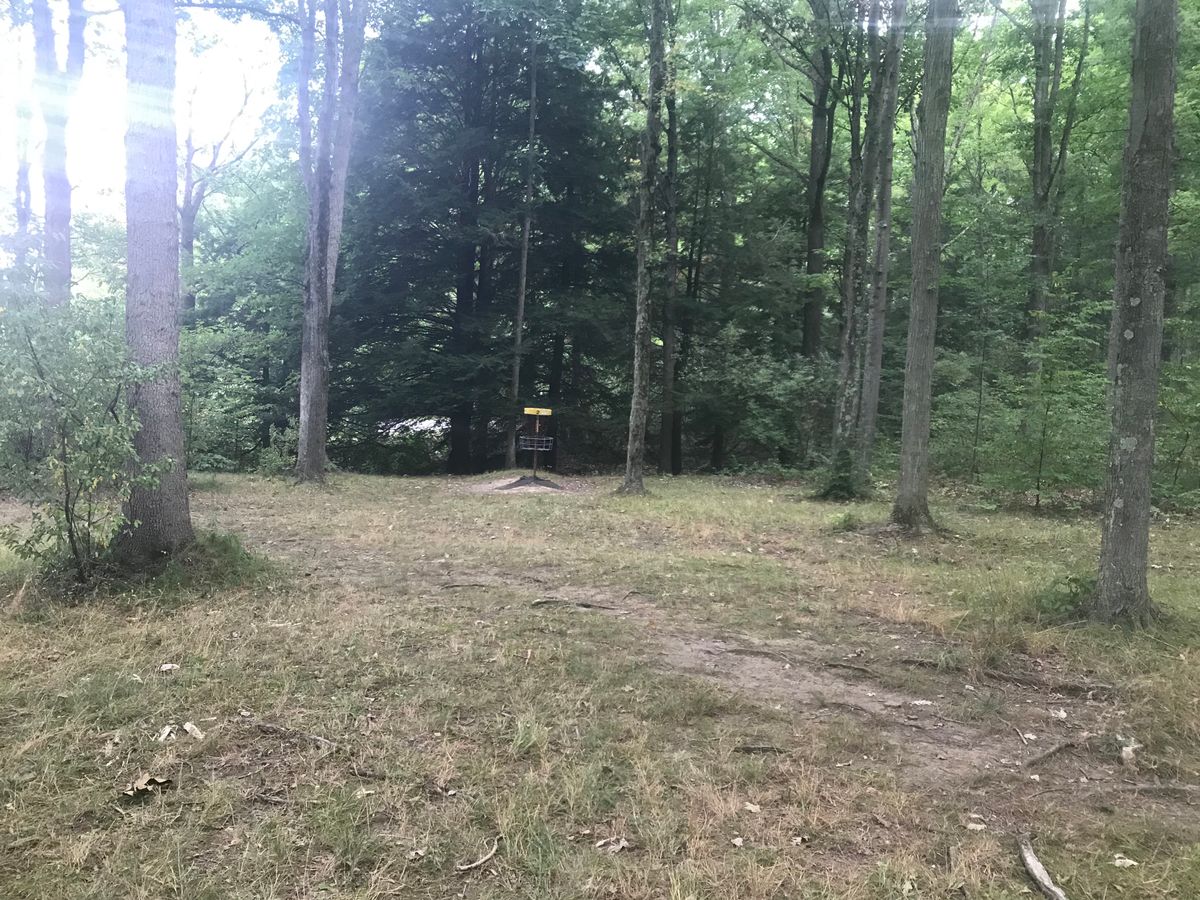 #2 fairway/green