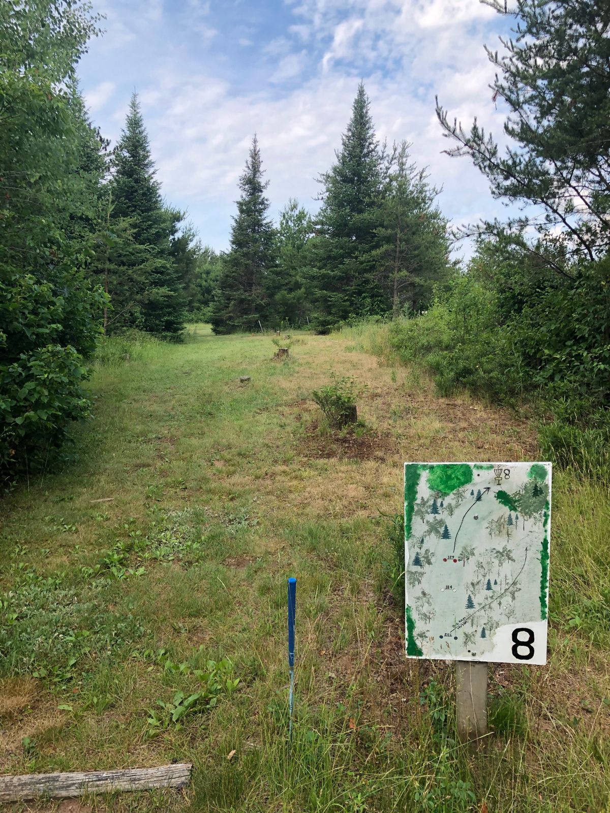 The basket is behind the trees straight in front. Good hole for a wide, high hyzer.