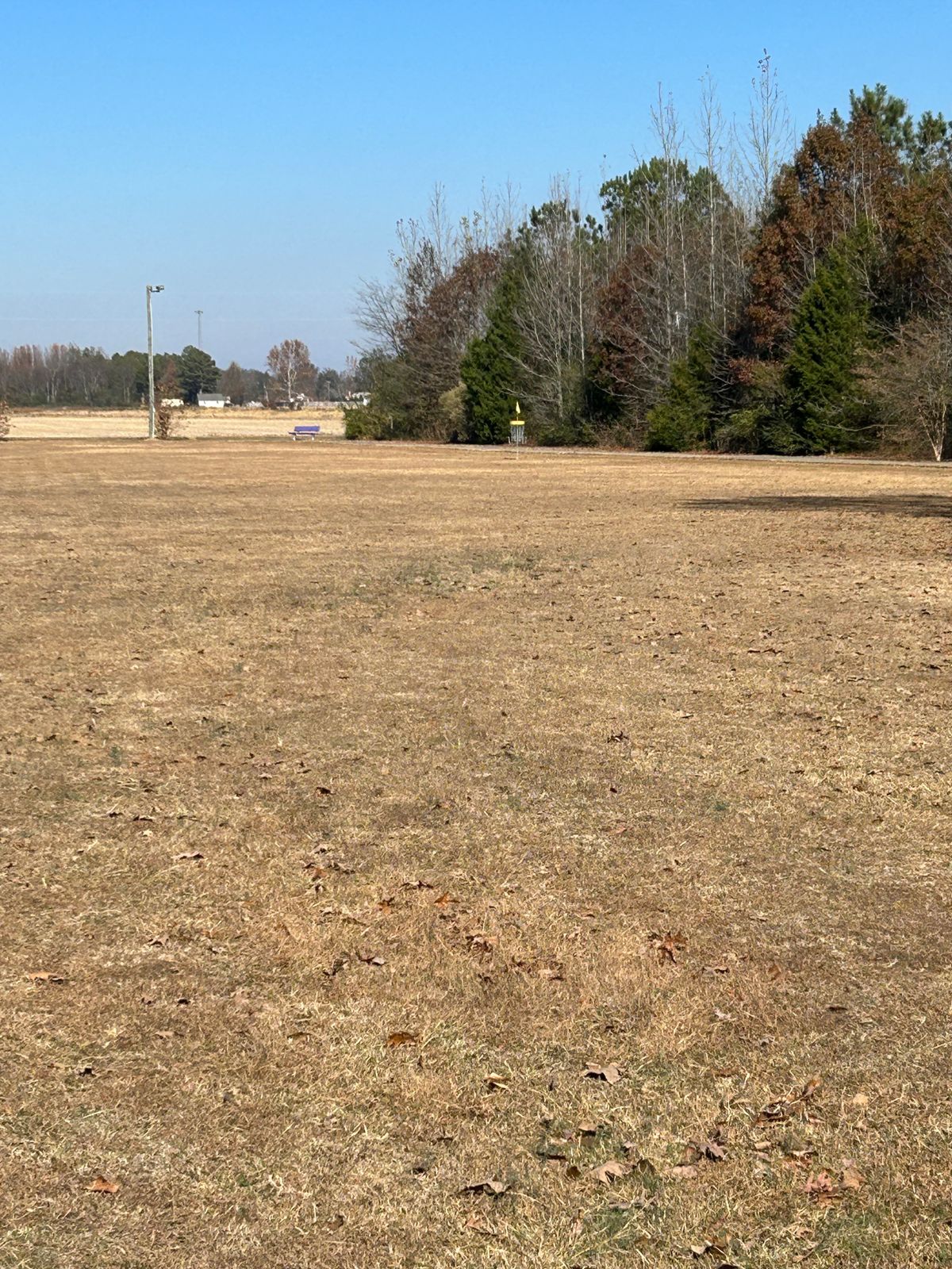 Hole 3 basket