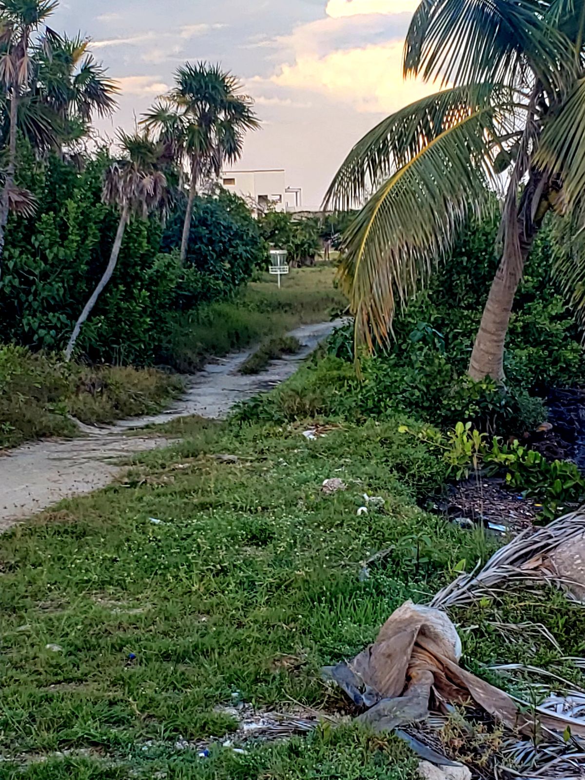 Hole 3