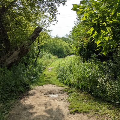 Hole 4