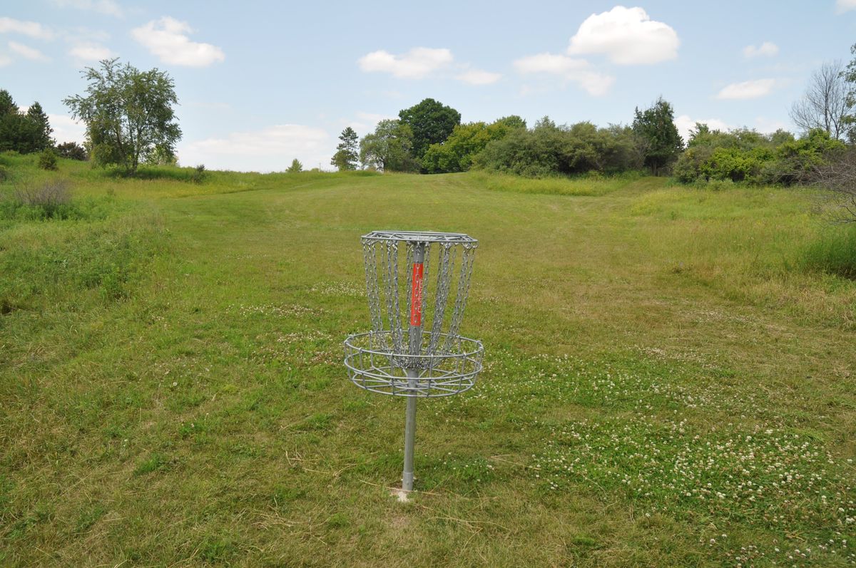 WW13. Behind basket looking back up to tees. 