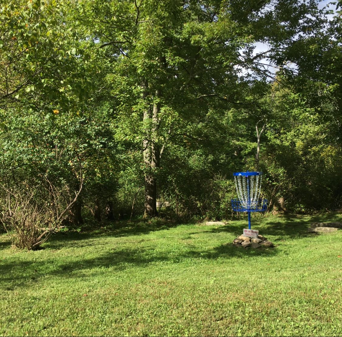 Hole 10 (aka Blueberry basket)