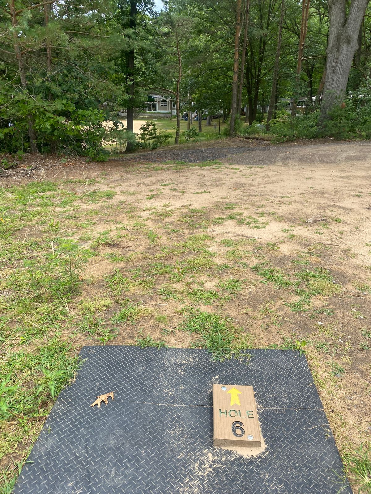 Hole 6 tree alley.