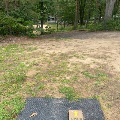 Hole 6 tree alley.