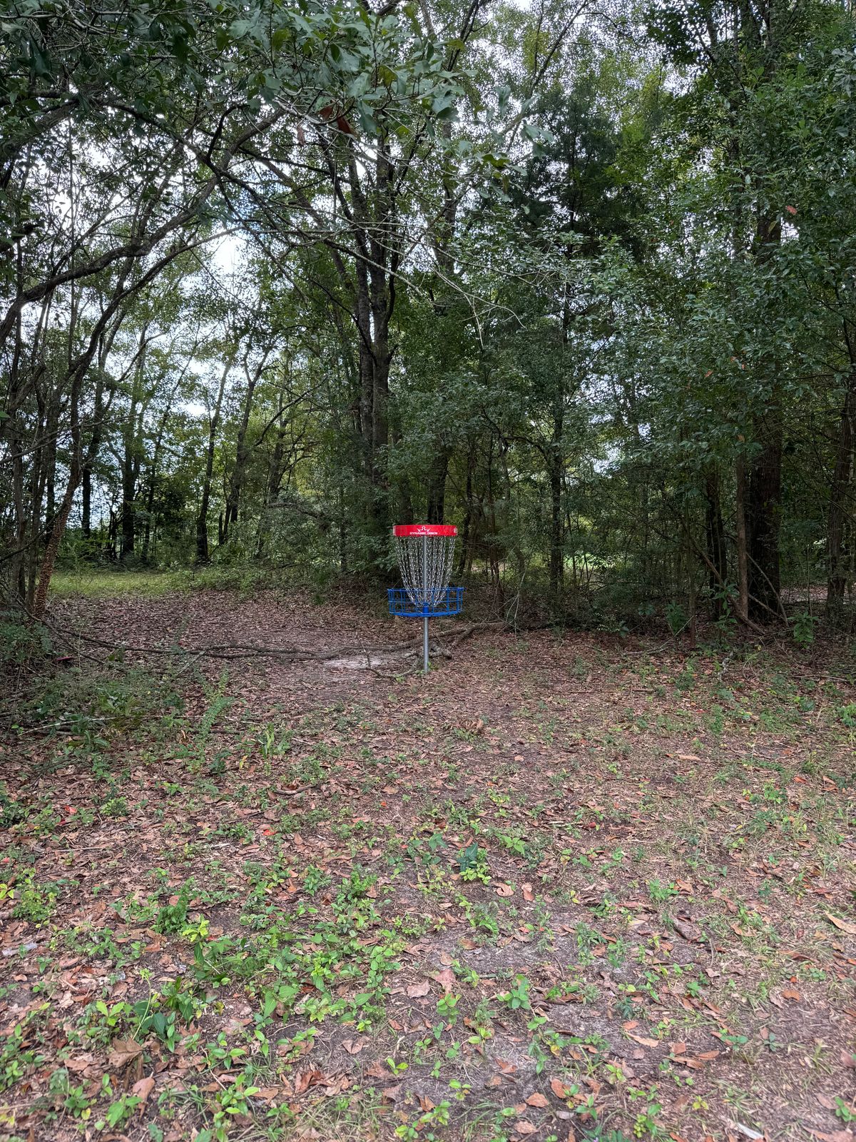 Hole 10 basket