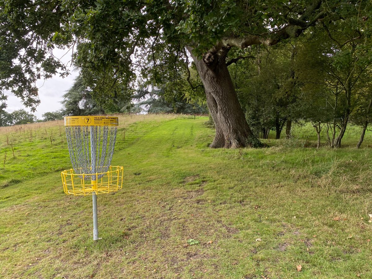 Hole seven basket  looking back towards tee