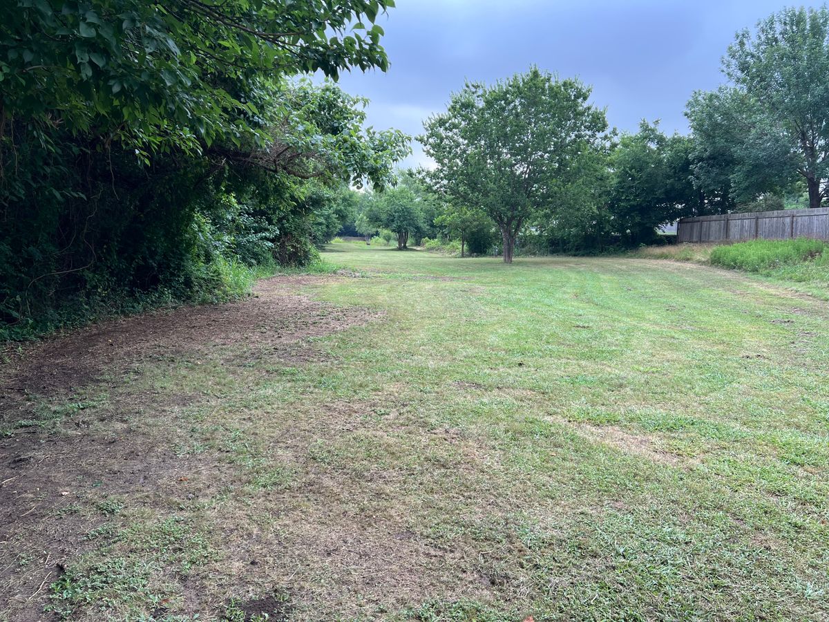 Hole 4 tee