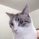 User avatar image