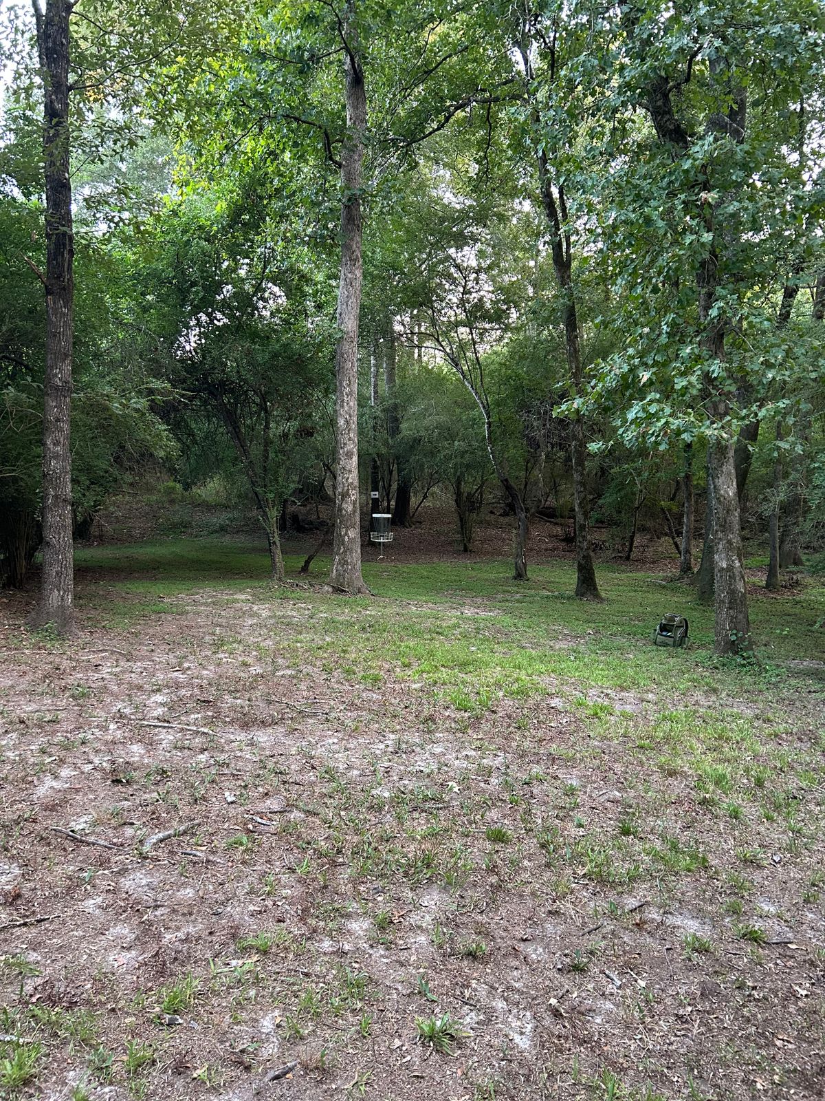 Hole 12 green