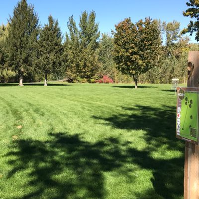 Hole 9