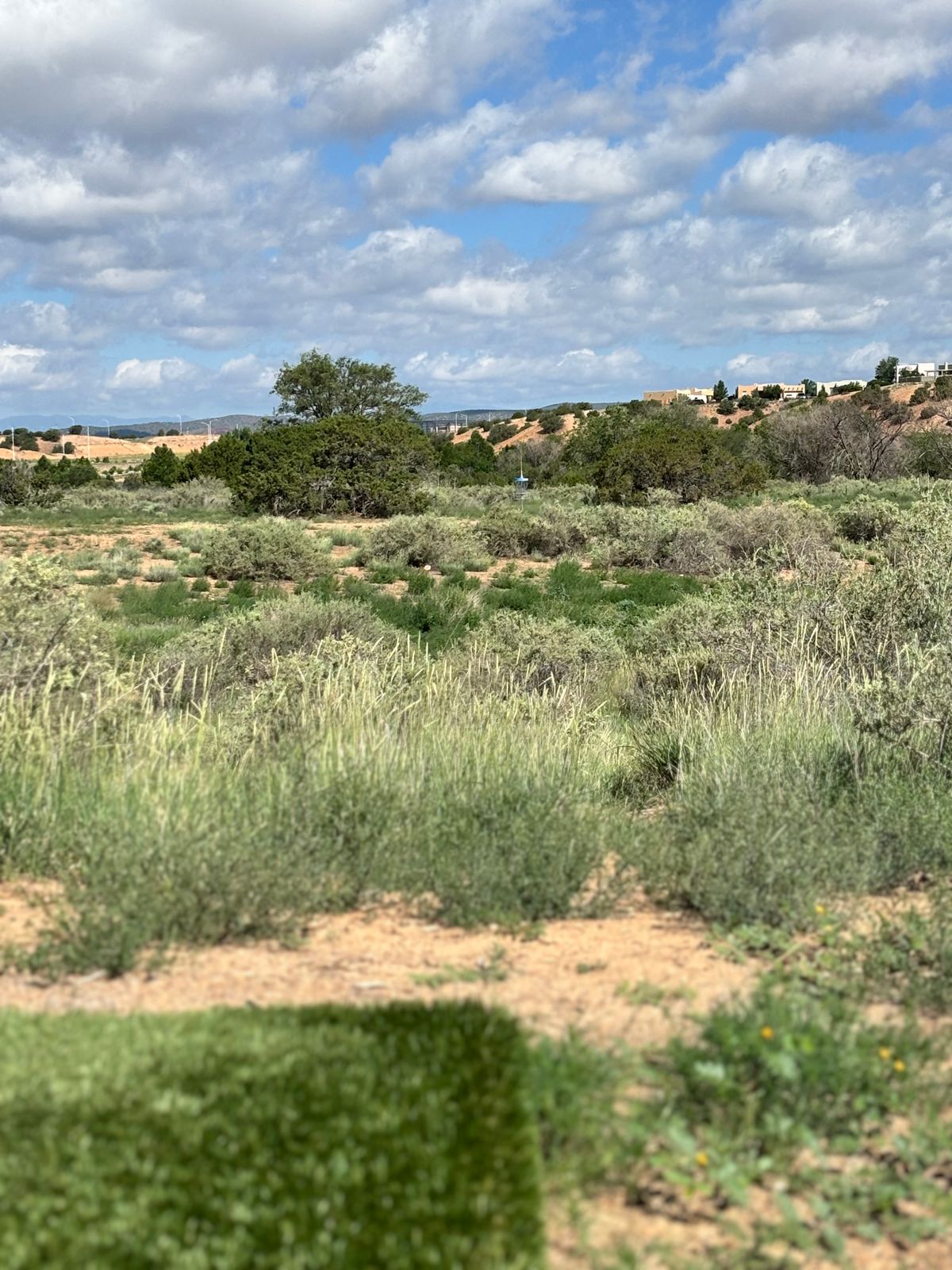 Hole 5 from the tee pad