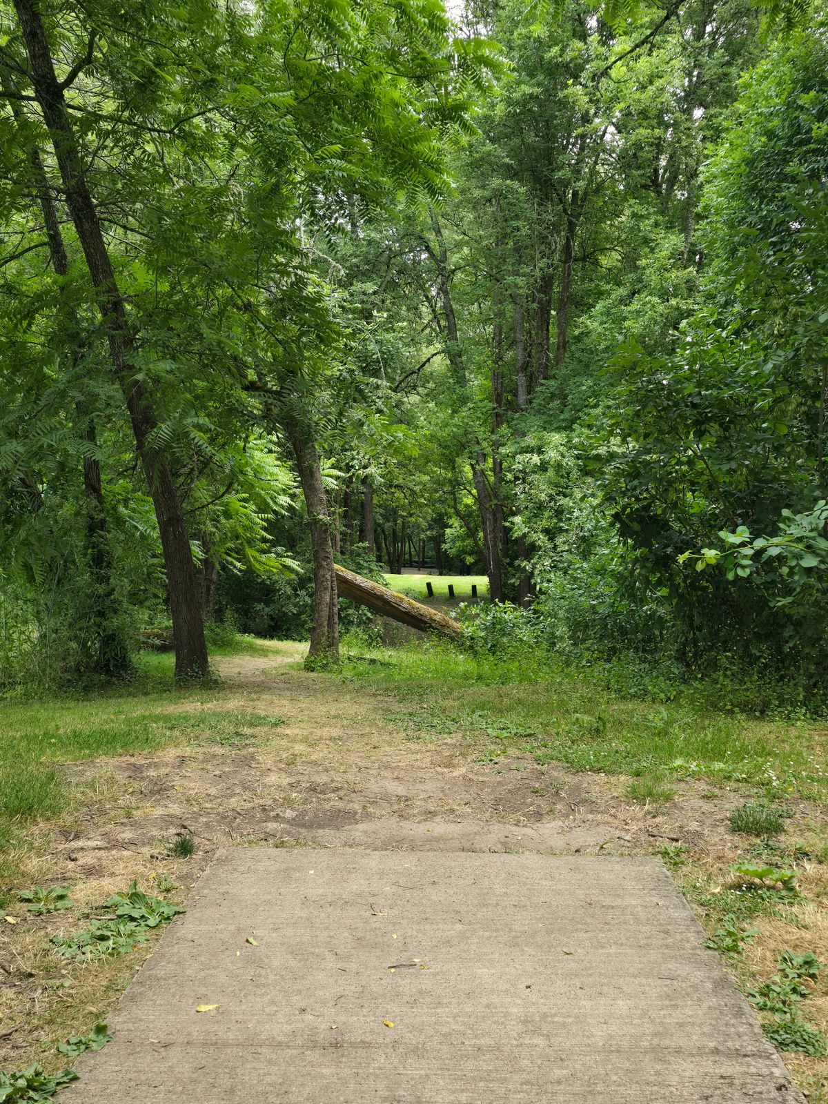 Tee pad 7