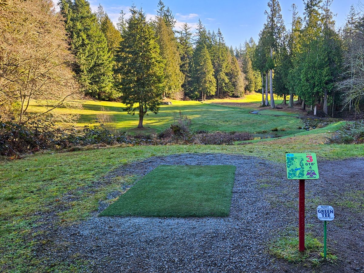 Hole 3 tee pad