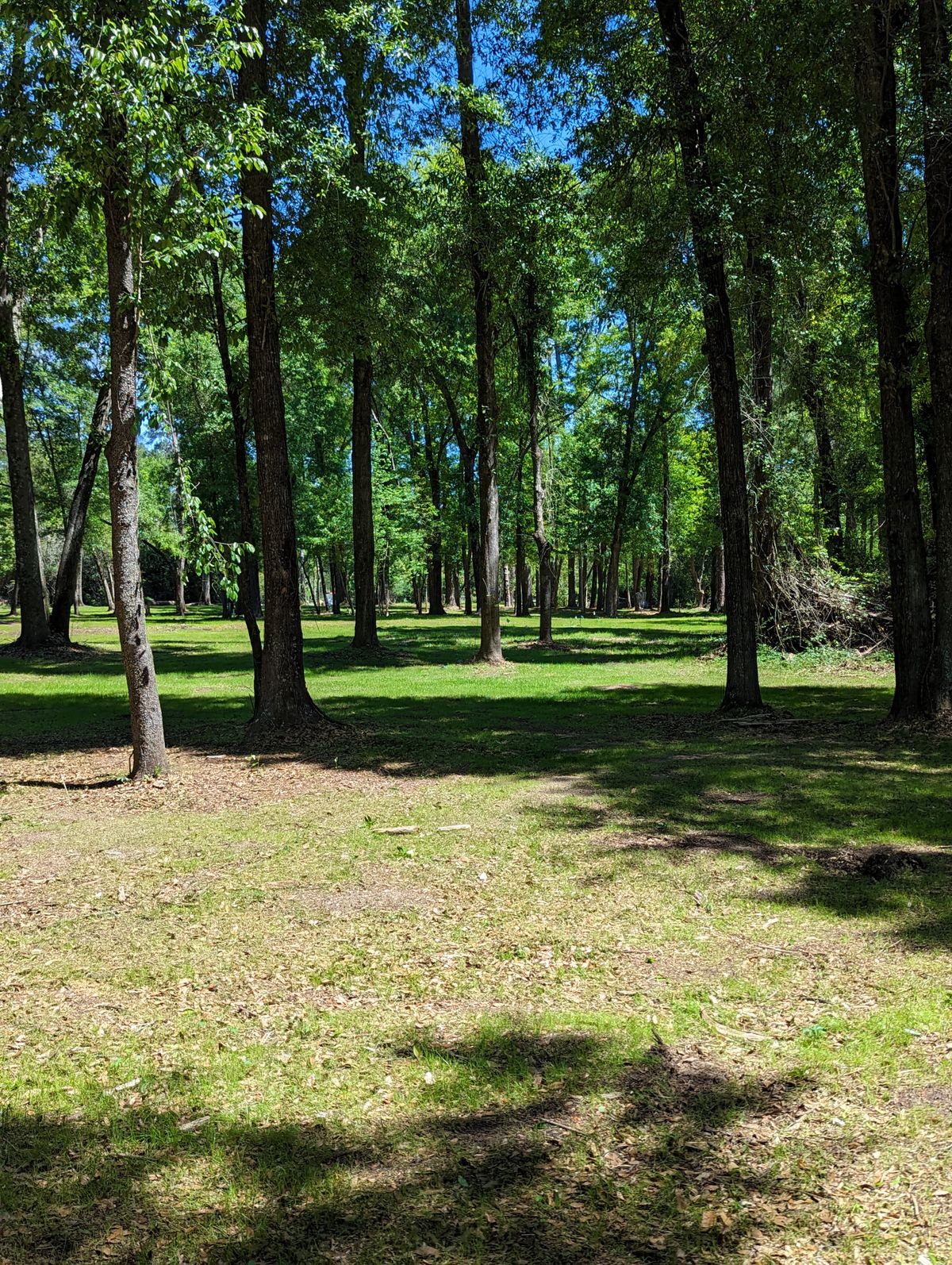 Hole 12 Fairway
