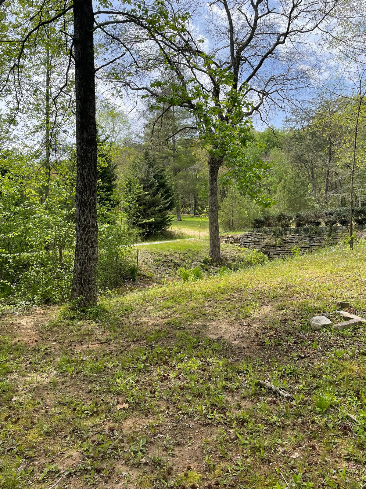 8th tee