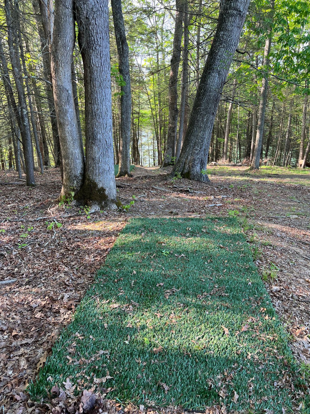 Hole 17 Blue Tee