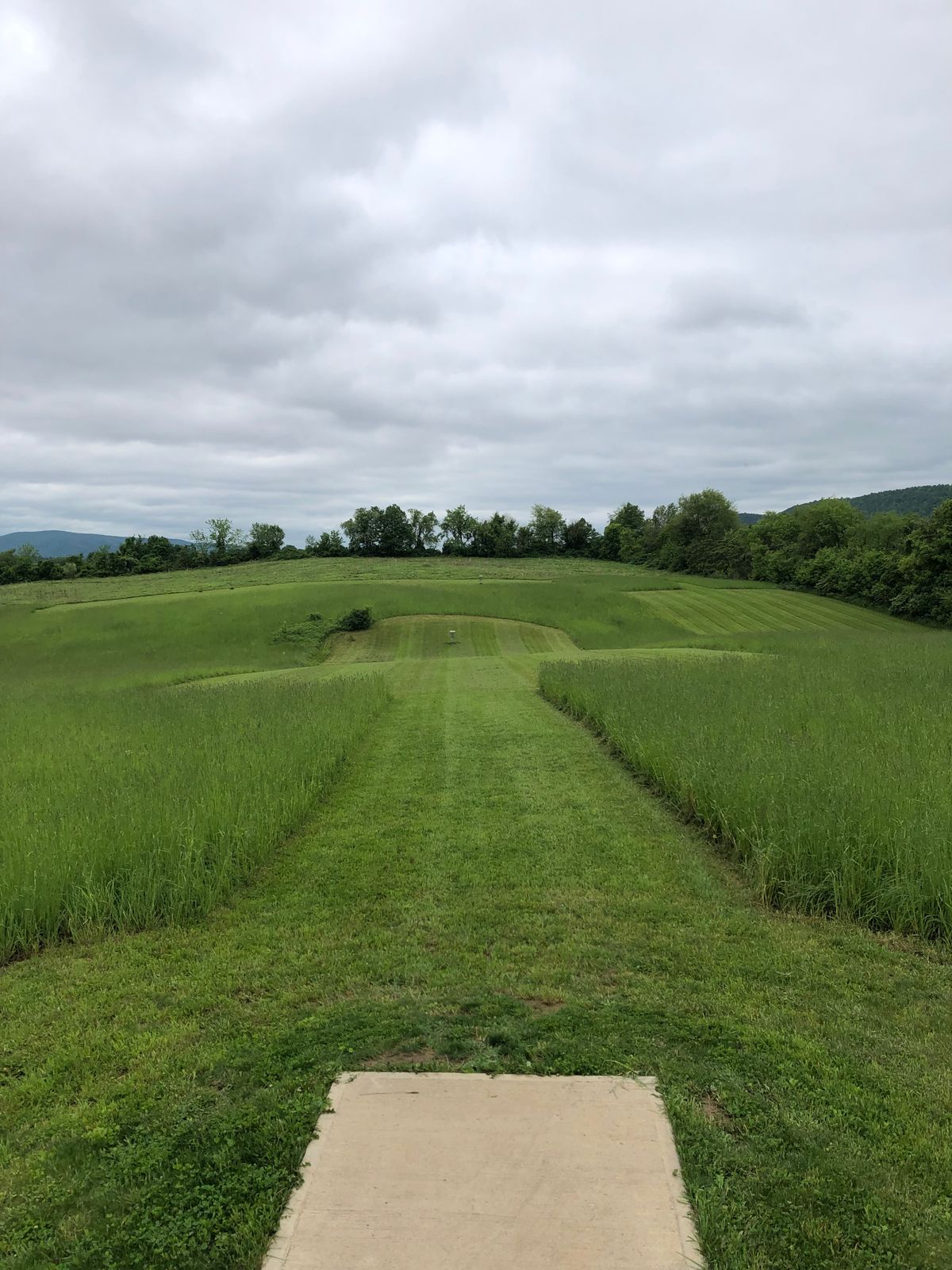 Hole 5 tee