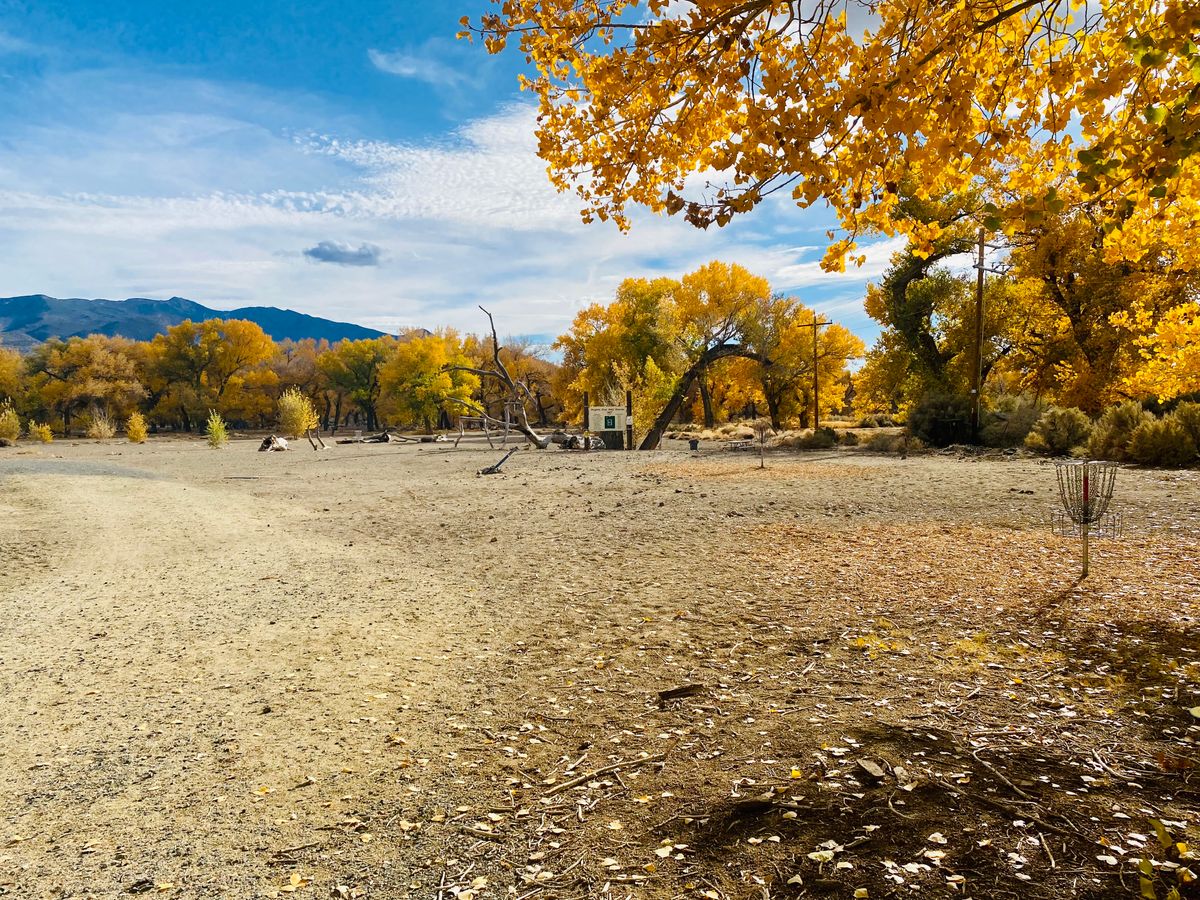 Fall 2021, putting area