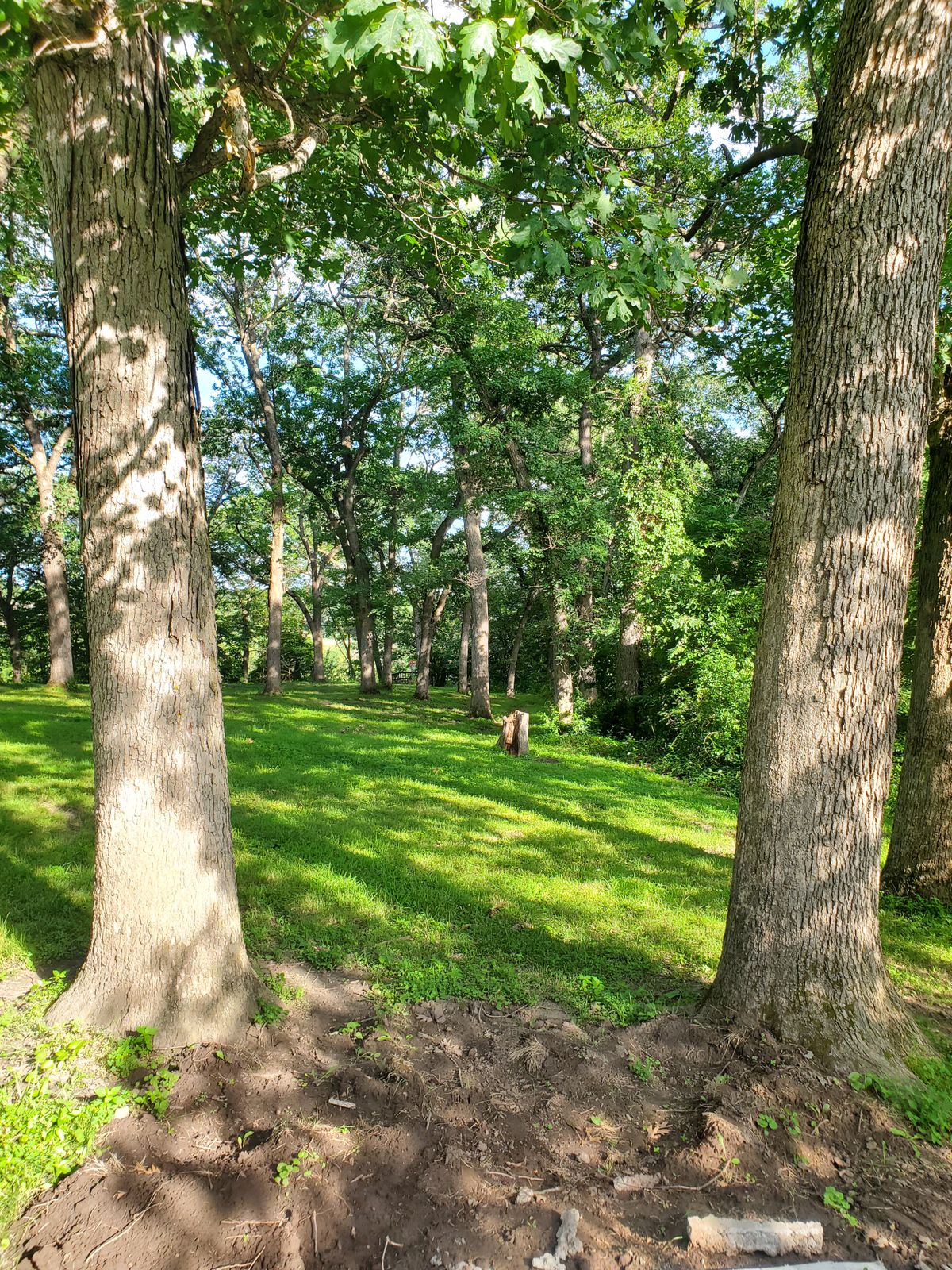 hole 9 fairway