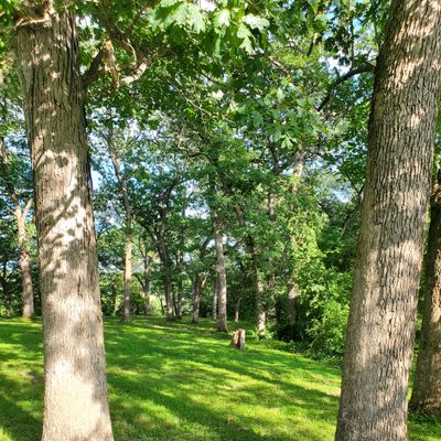 hole 9 fairway