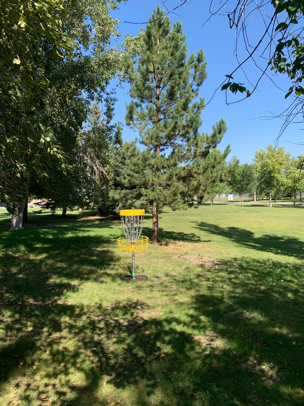 Hole 8 basket