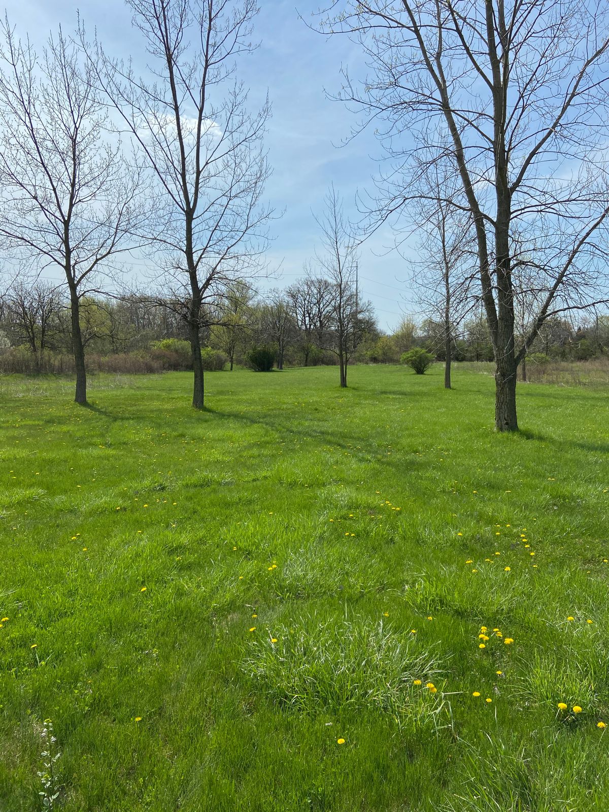 Try to get to the end of the fairway on your 3rd shot. This is the view after shot 2.