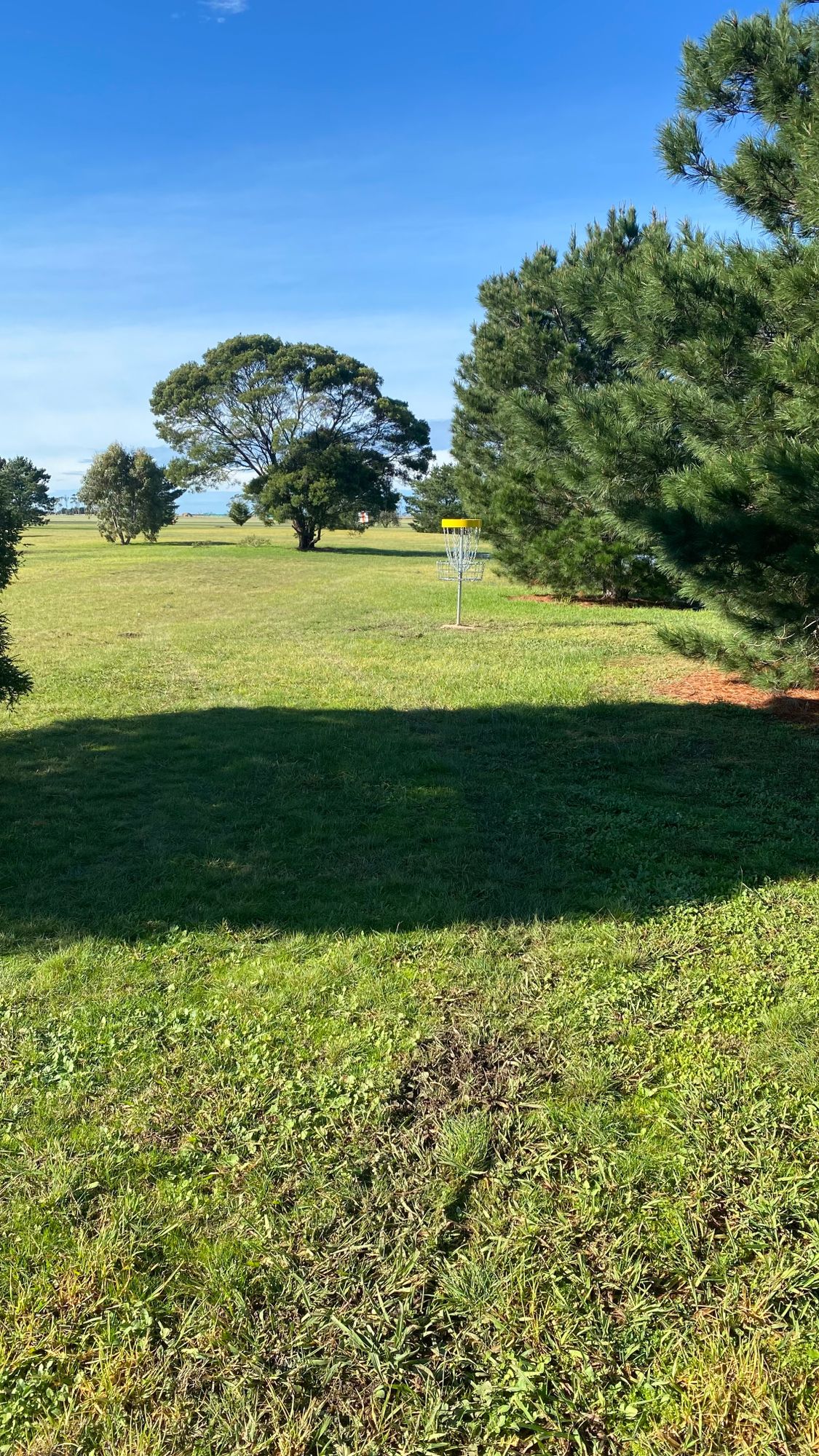 Basket at hole 3/12