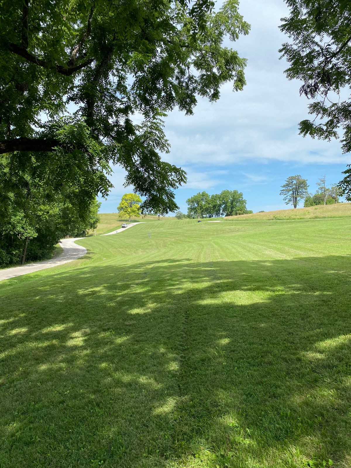 Hole 8 Mid-Fairway