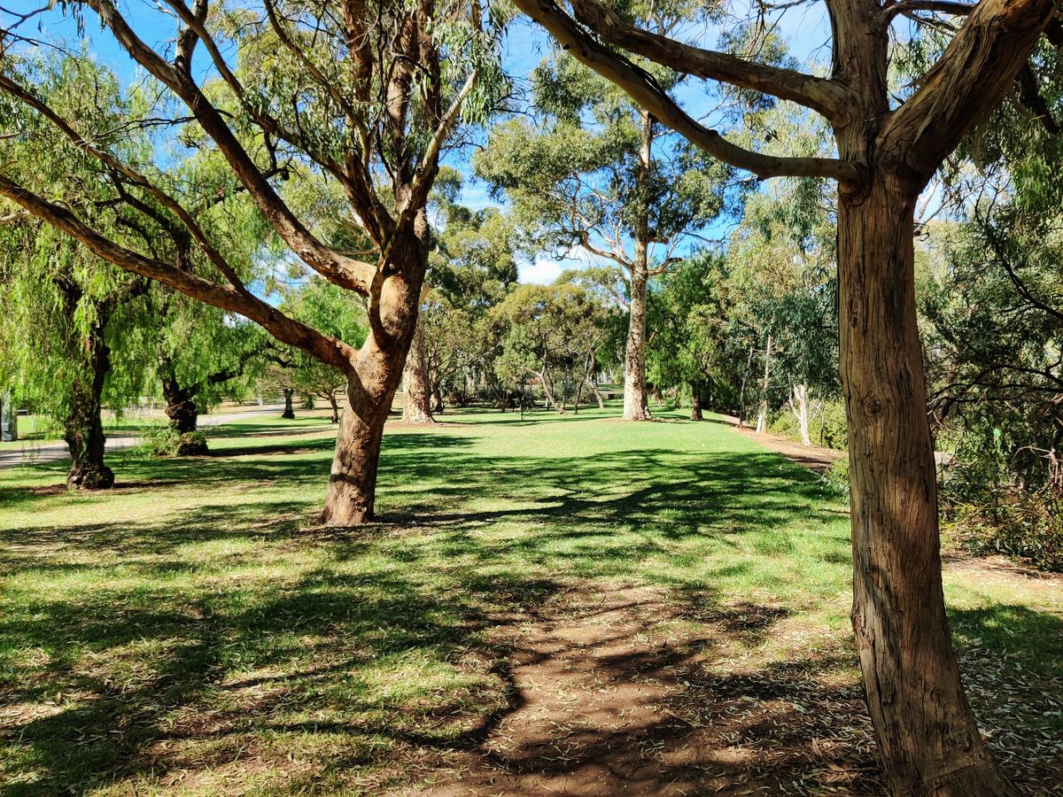 Hole 6 teebox