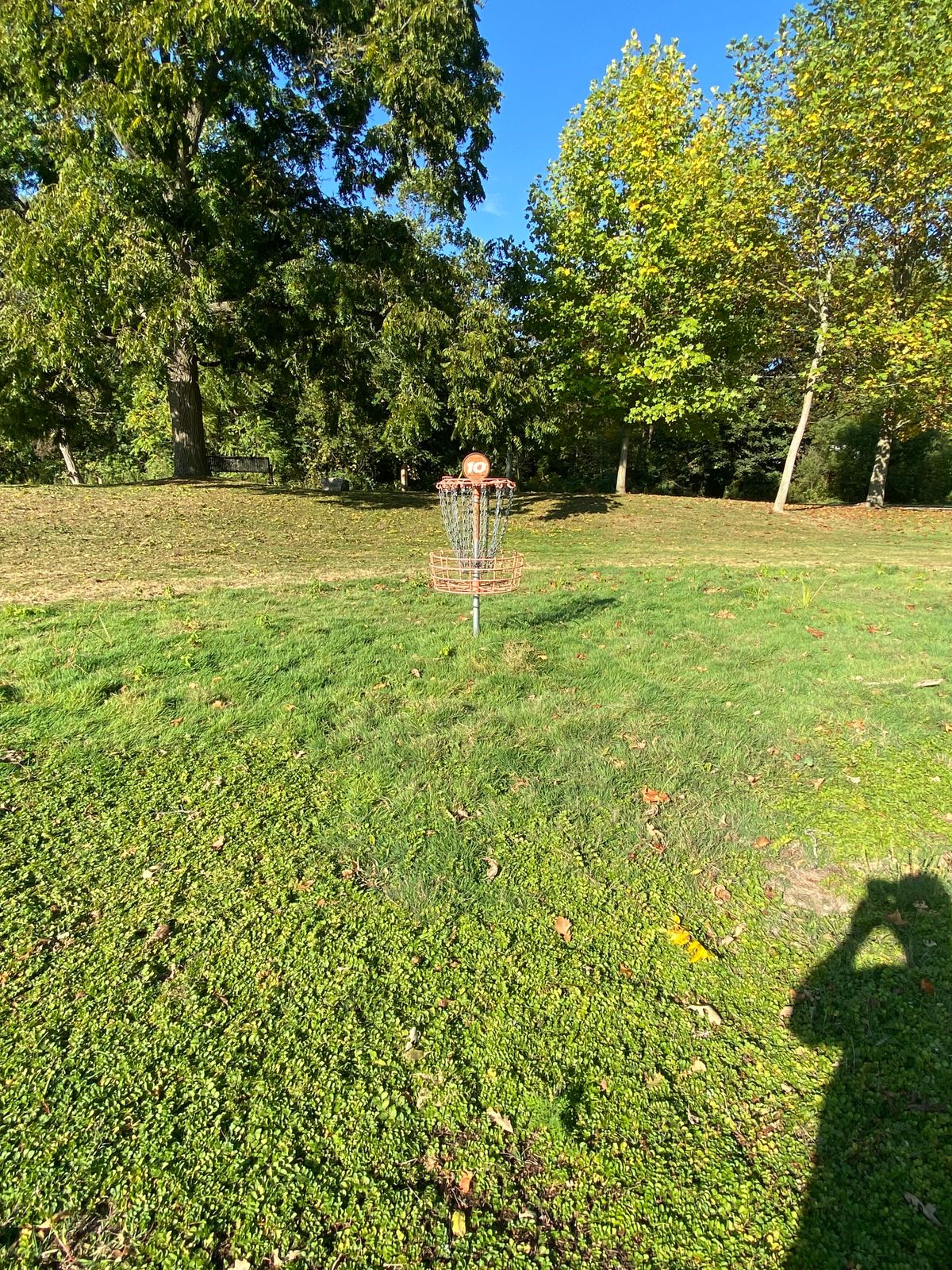 Holes 10’s basket