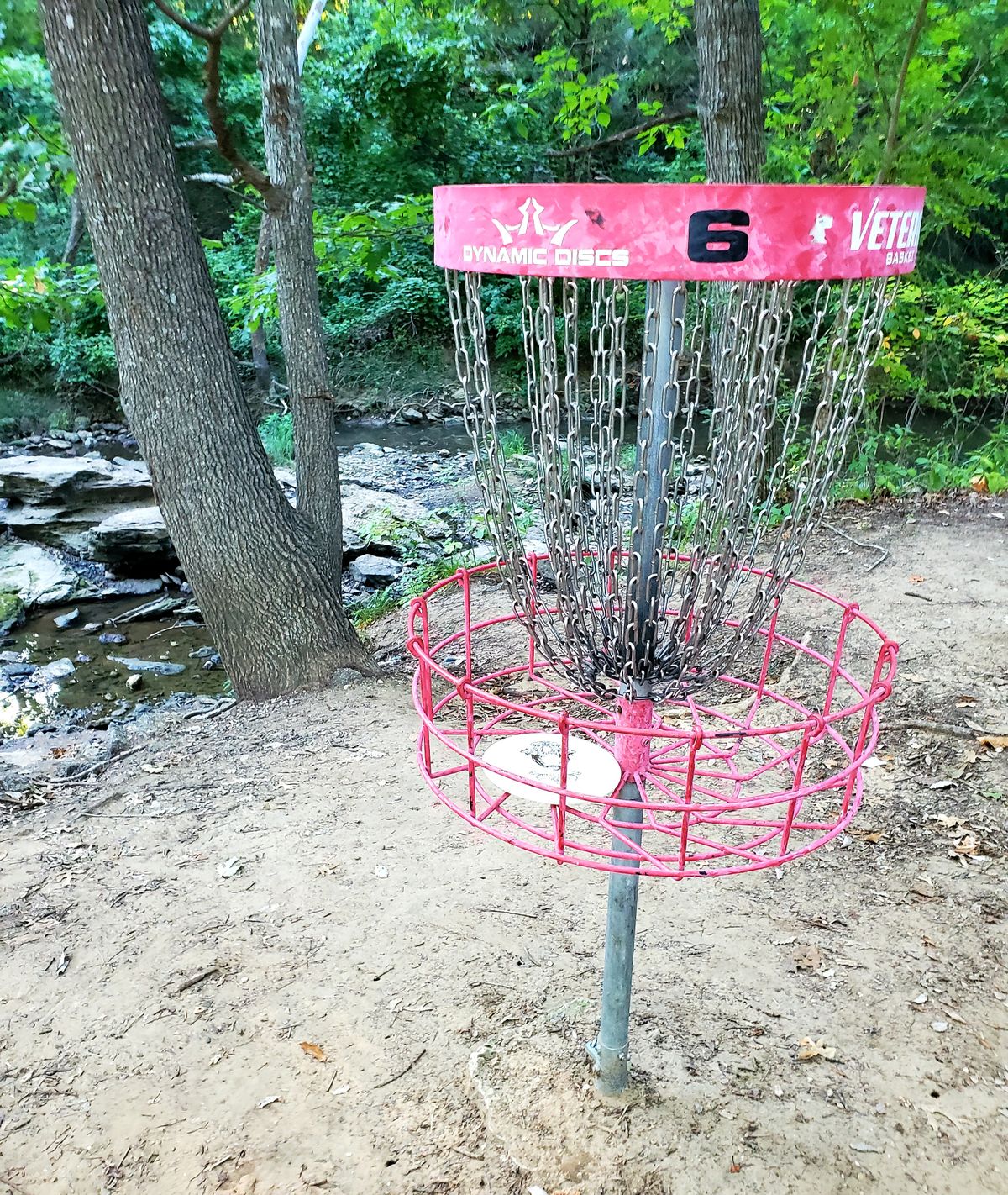 Parked for a birdie