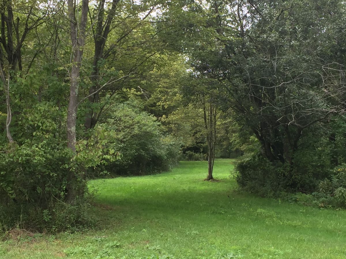 Hole 9 fairway