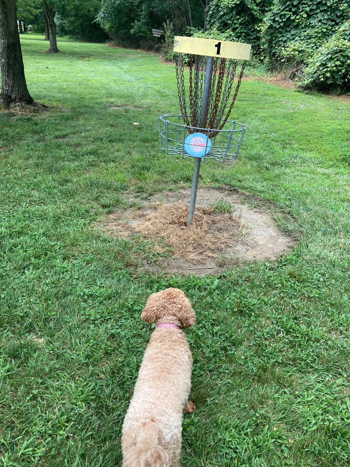 NOT dog friendly- be heads up of park staff