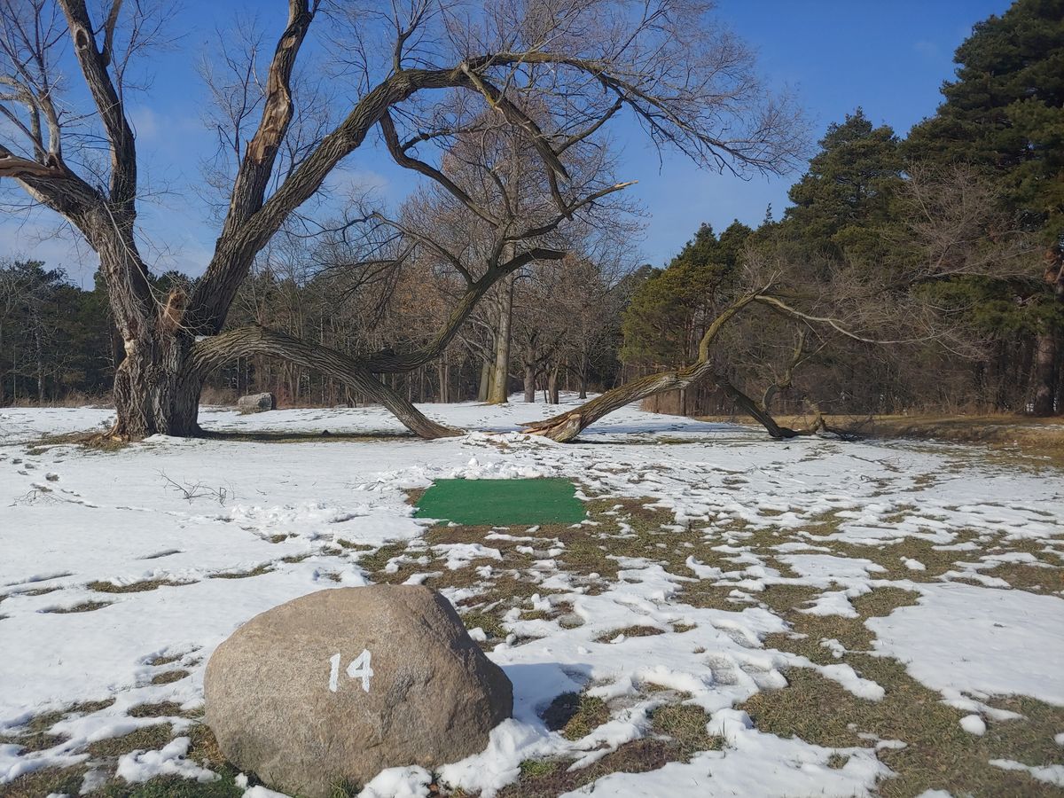 Hole 14 tee pad